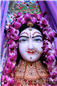 DSC_5867.jpg
